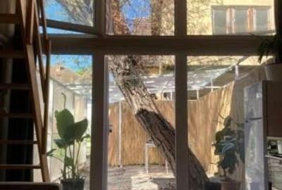 Casă cu 1 camere cu Teren 25 Mp în Central - 2