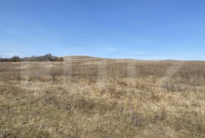 Teren extravilan in suprafata de 140551 mp in loc. Recea - 2