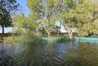 Teren intravilan in Delta Dunarii, C.A. Rosetti - Cardon - 5