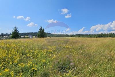 Teren partial intravilan 30,930 mp Poiana Stampei-DN E58, Suceava - 8