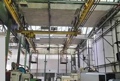 Hale de 270 - 370 mp in Parcul Industrial Roman pt. productie, depozitare - 4