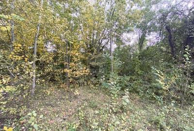 TEREN INTRAVILAN// CORNU DE JOS - 5