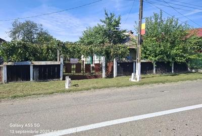 Casă cu 3 camere în Siliștea - 4