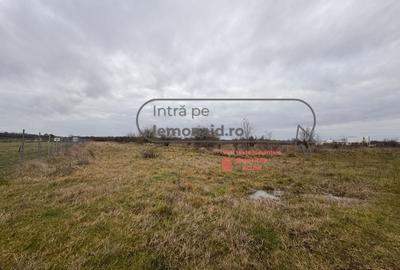 Teren Șag - intravilan agricol | 3.200 mp - 3