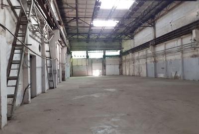 Zona FAUR - Hala open space 1750mp