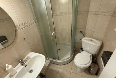 REA1024575 Apartament 2 Camere I De Vanzare I Cismigiu - 10