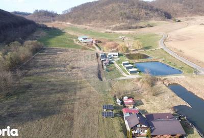 Teren de 7000 mp, în Laslea - 13