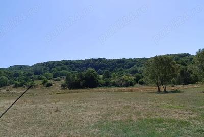 Teren de 2500 mp, în Central - 3