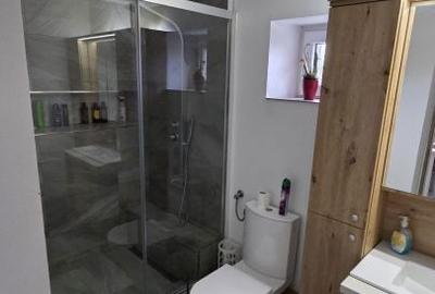 Casă cu 5 camere cu Teren 14000 Mp în Păulești - 7