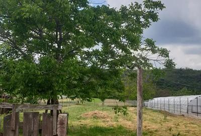 Casă cu 4 camere în Topliceni - 1