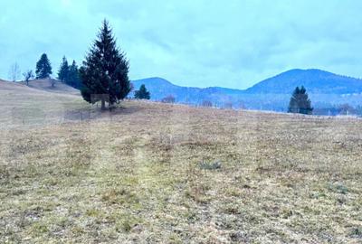 Teren de 2500 mp, în Colibița - 6