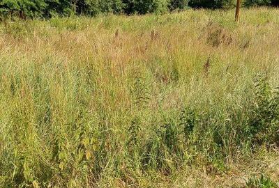 TEREN INTRAVILAN IN MARGA-LA DN68 JUD.CARA?-SEVERIN - 3