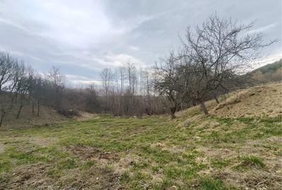 Spațiu comercial, în Sibiel - 8