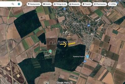 Teren de 13500 mp, în Dascălu - 2