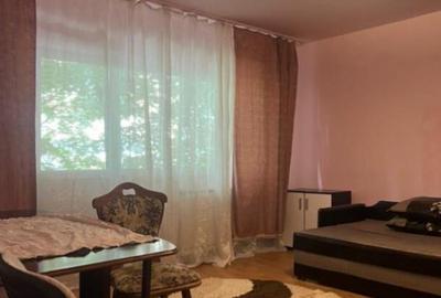 Apartament cu o camera Sagului - 6