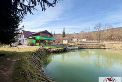 Casa de vacanta cu balta de peste de vanzare in Glogovet (Valea Lunga) - Blaj - 3