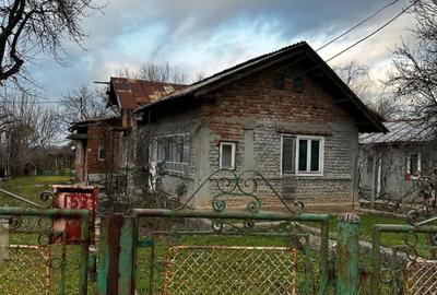 Casă cu 4 camere în Crivina - 8