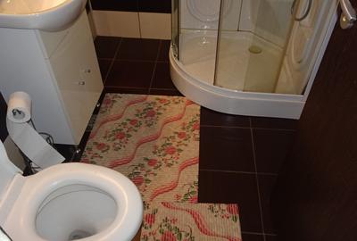 Apartament cu 2 camere semidecomandat în Centru Vechi - 4