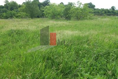 Buftea, teren cu iesire la lac - 17