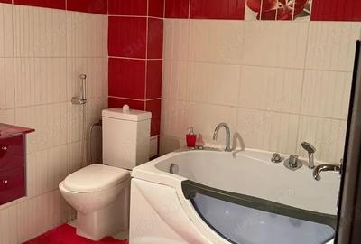 Apartament trei camere in Raul Doamnei bloc din 2010 - 14
