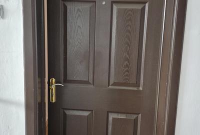 Apartament cu 4 camere decomandat în Tolstoi - 9