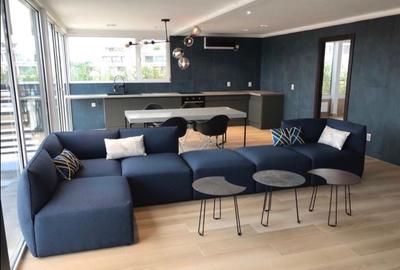 Apartament cu 21 camere decomandat în Herăstrău - 2