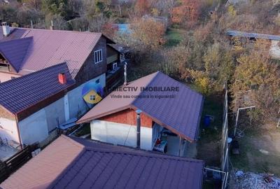 Casa + teren de vanzare 1000 mp  - Zona Sarata Casa + teren de vanzare 1000 mp  - Zona Sarata - 6