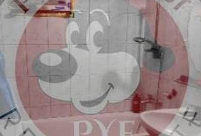 Pantelimon | 4 camere | 85mp | B12173 - 3