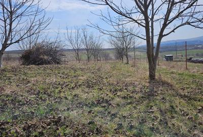 Spațiu comercial, în Mărtinești - 6