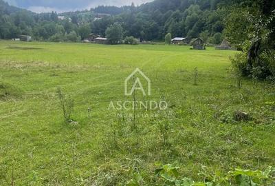 Teren de 4500 mp, în Dâmbovicioara - 19
