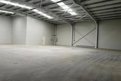 Spațiu comercial, de 1,200 mp, în Rudeni - 4