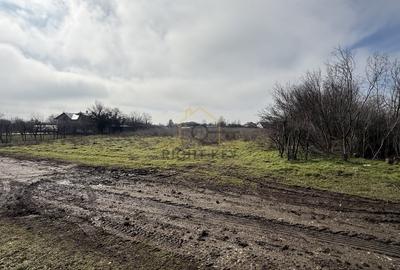 Teren Construcții intravilan de 6200 mp, în Săbăreni - 4