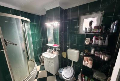 Apartament cu 2 camere decomandat în Paltiniș - 4