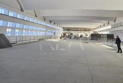 Hala renovata zona industriala Jilava - 1