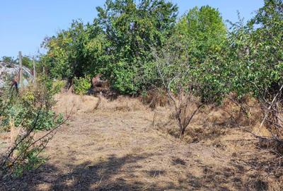 Spațiu comercial, în Corbu - 1