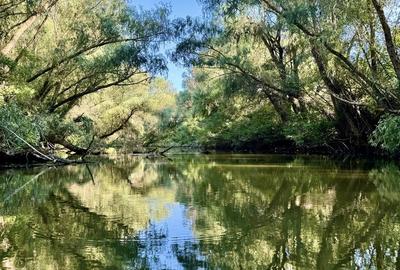 Casă cu 4 camere în Murighiol