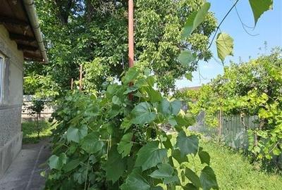 PRET DE APARTAMENT - DE VANZARE CASA cu TEREN  IN TG TROTUS LA STRADA PRICIPALA - 3