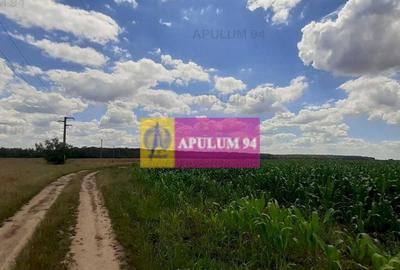 Teren de 715 mp, în Snagov