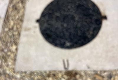 Teren de 10000 mp, în Mofleni - 2