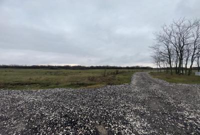 🏞️De vanzare teren intravilan, judetul Arad ! - 8