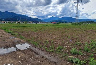 Teren de 3500 mp, în Movilei - 7