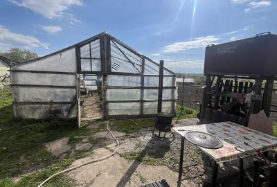 Casă cu 3 camere în Lozna - 1