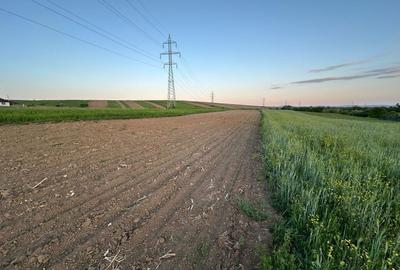 Spațiu comercial, în Dealu - 5