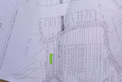 Teren de 5000 mp, în Bănești - 1
