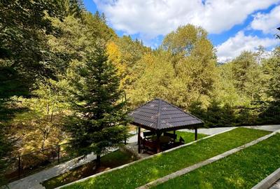 Vila Premium de Vanzare in Cheia ,Prahova-Comision 0% - 25