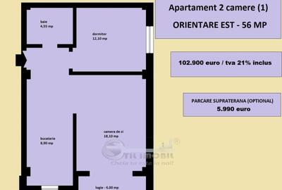 Apartament cu 2 camere în Valea Lupului - 6