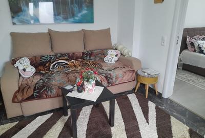 Casa renovata 2 camere de vanzare str. Campului Fagaras jud. Brasov - 15