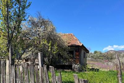 Casă cu Teren 2000 Mp în Valea - 3