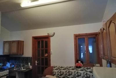 Apartament cu 2 camere decomandat, mobilat în Medicină - 9