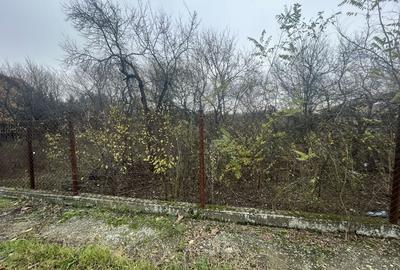 Teren in suprafata de 2165 mp cu front de 30 ml - 4